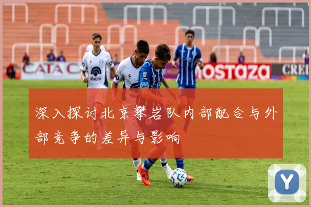 深入探讨北京攀岩队内部配合与外部竞争的差异与影响